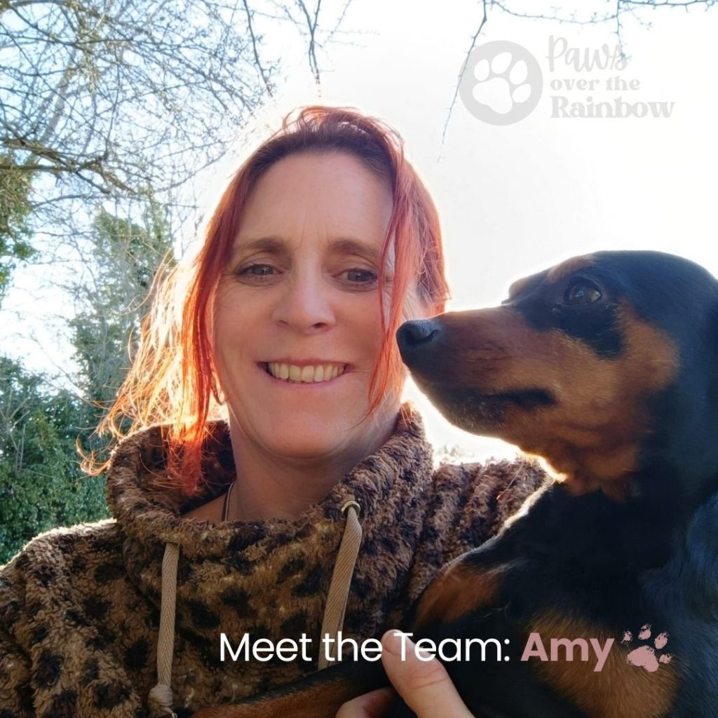 Meet the Team Amy