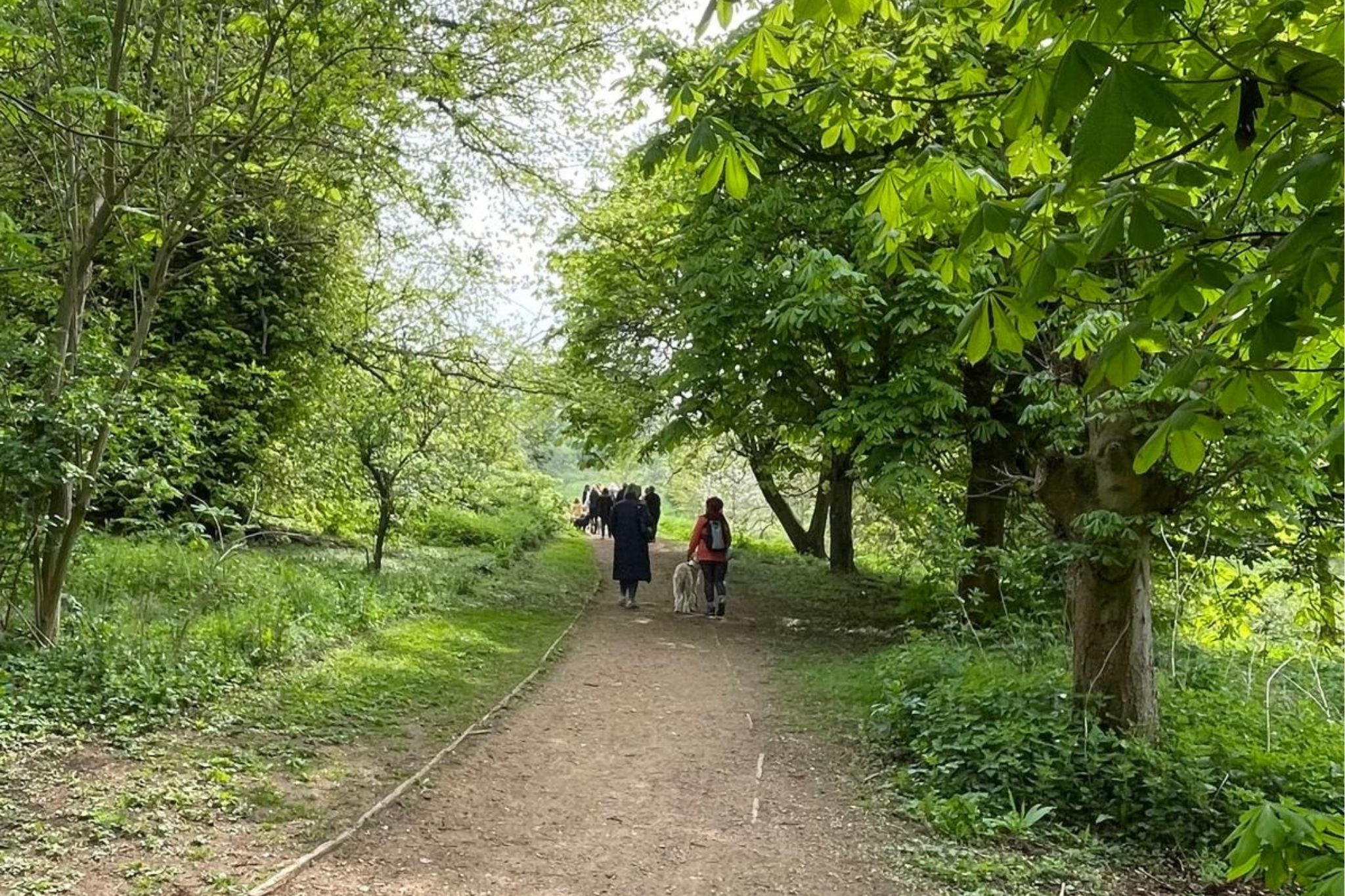 Pet Memorial Walk – 7 September 2025